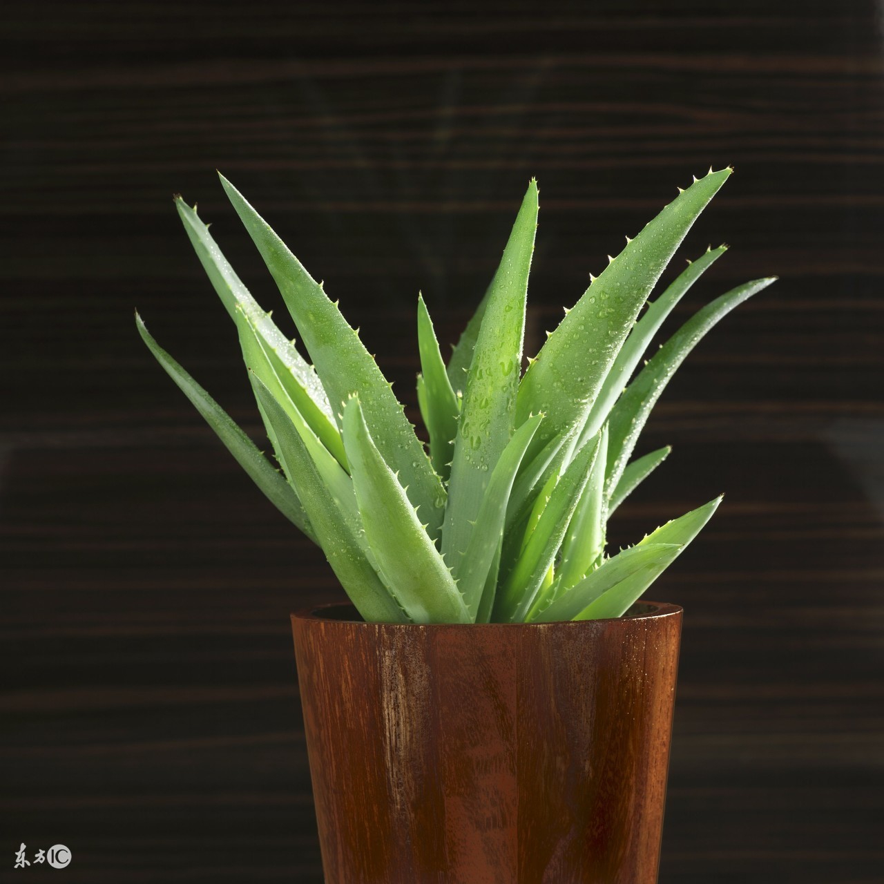 入住新房除甲醛最有效的方法,新房甲醛污染如何治理