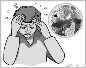 头晕恶心呕吐胃难受怎么回事,洗澡突然头晕恶心呕吐