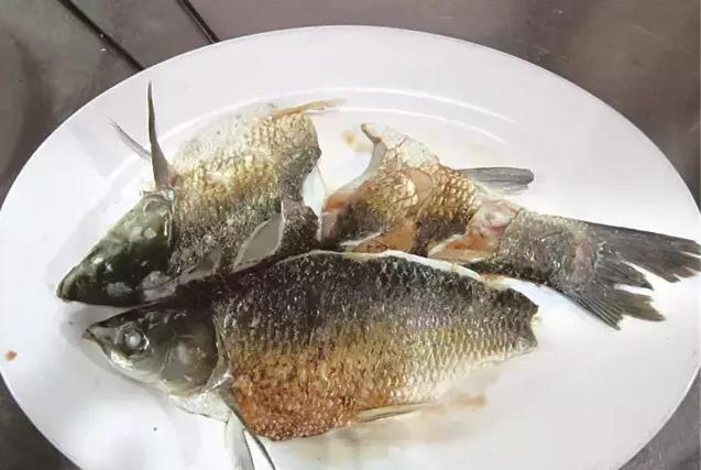 大师傅教你做正宗的西湖醋鱼，芡汁清淡，肉质鲜嫩，学会超有面子