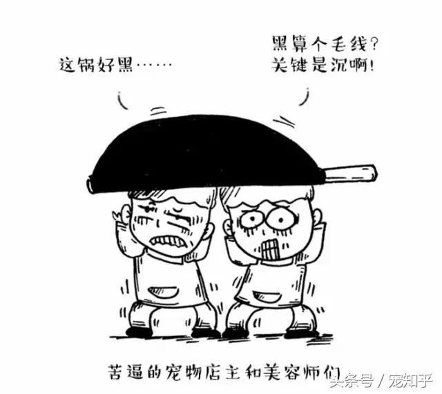 为什么狗总是害怕去宠物店,狗为什么总是害怕进宠物店