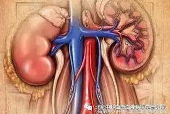 胡桃夹综合征是什么原因导致的,胡桃夹综合征会导致什么病