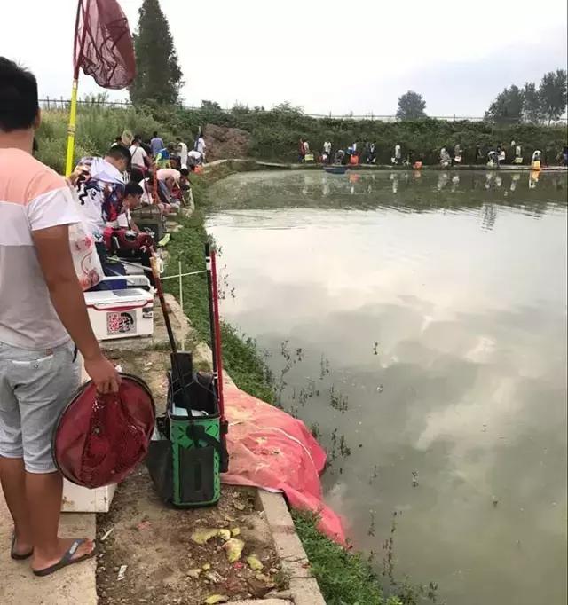 2017钓鱼比赛河南,行营河钓比赛