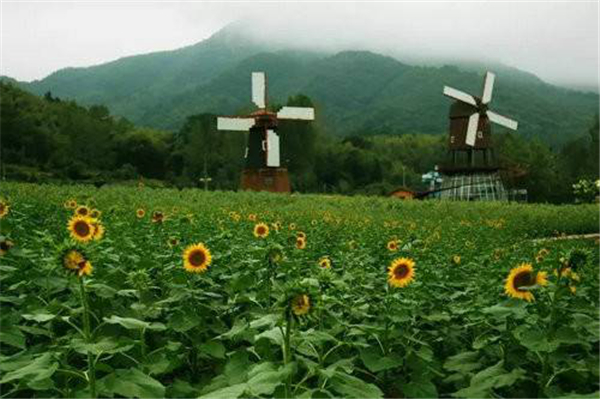 十一黄金周回顾视频,十一黄金周全集视频