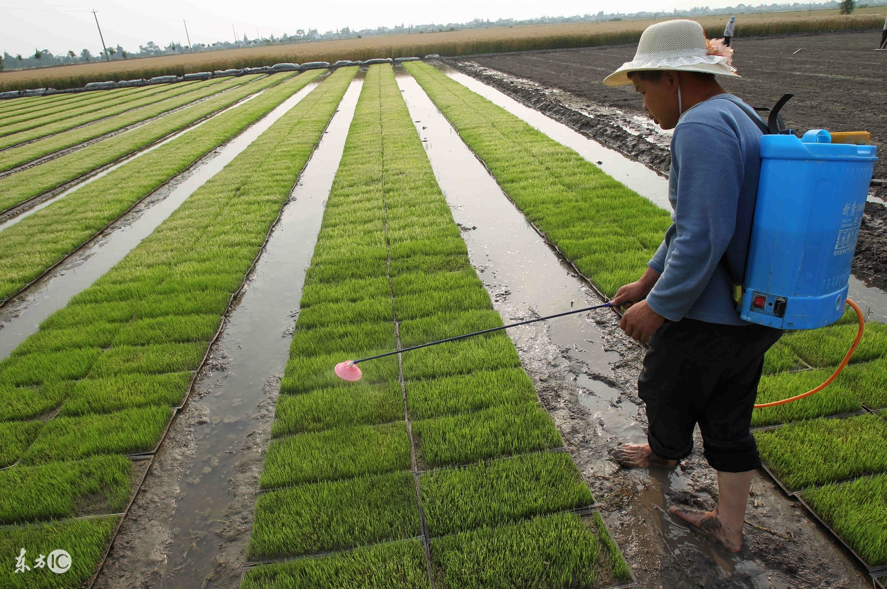 为什么在农村创业的人比较少,为什么越来越多的人都希望去创业