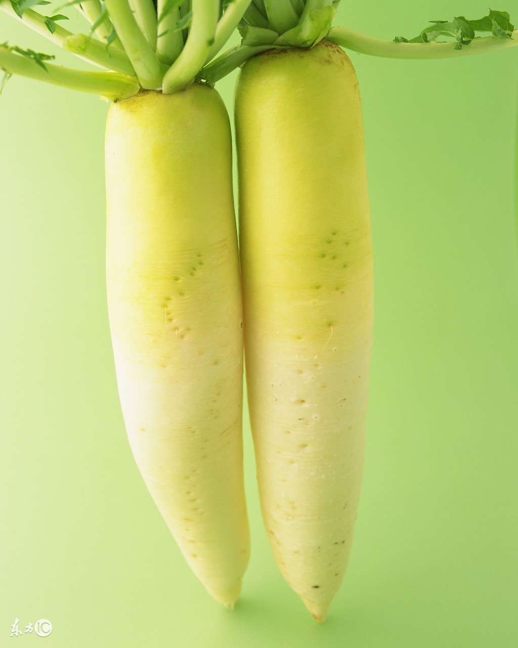 舌苔是厚厚的白苔用“姜”治口臭；舌苔发黄喝“萝卜汁”治口臭