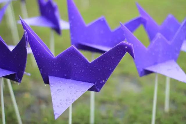 热气球南海桂城,佛山足球主题农庄