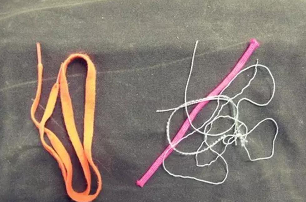 野外生存diy教你制作捕捉陷阱,野外求生陷阱简单大全