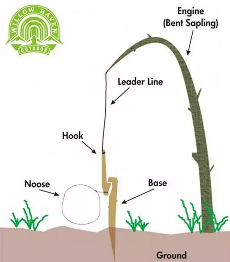 野外生存diy教你制作捕捉陷阱,野外求生陷阱简单大全