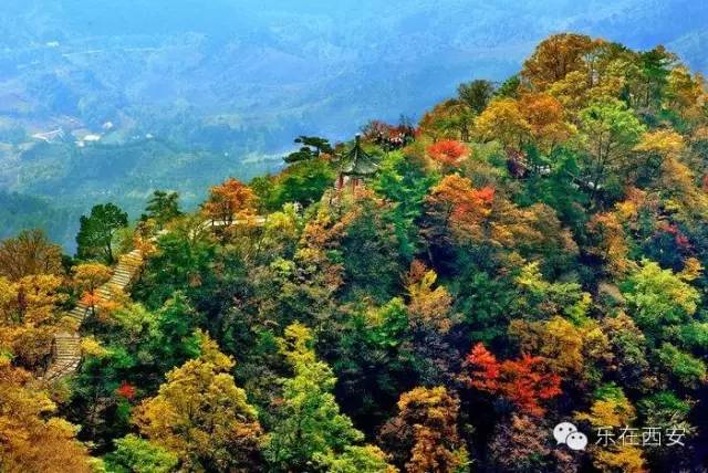 蓝田免费开放景区秋天,2022年蓝田县开放了哪些景区