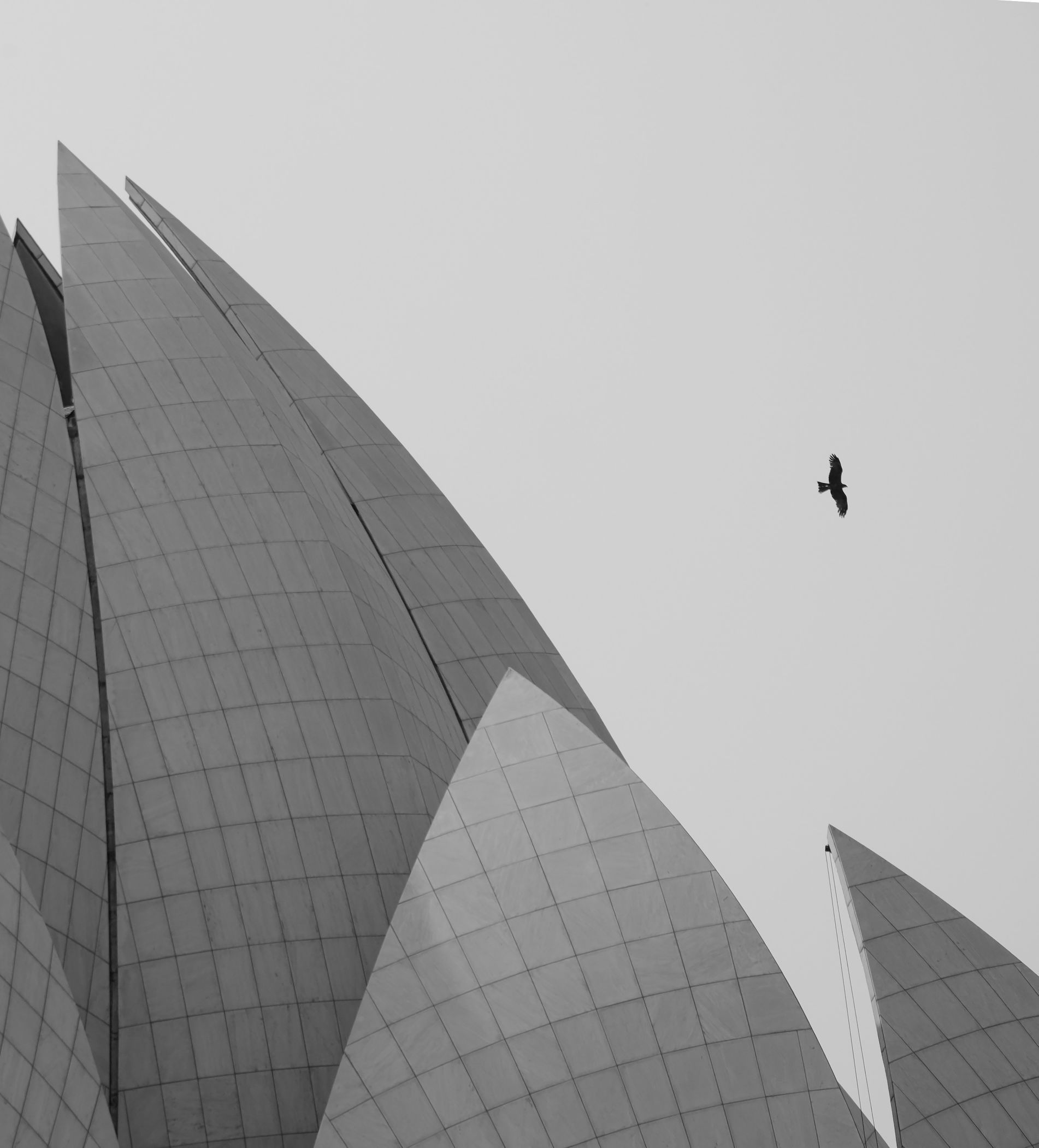 走去天竺,走天竺