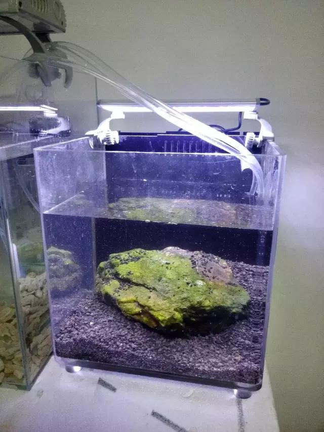 开缸的日记,开缸日记小鱼缸