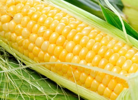 养脾五谷杂粮食疗方,黄色的食物补脾吗