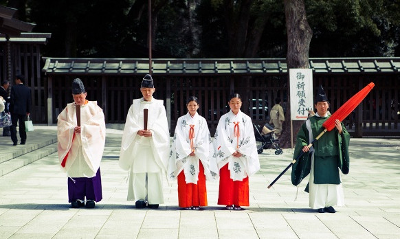 旅游景点樱花谷攻略,赏樱攻略和景点推荐