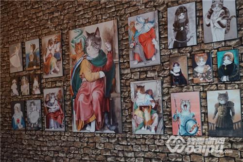 合肥潮店：喵星CatStar匆忙赶路不如蹲下撸猫