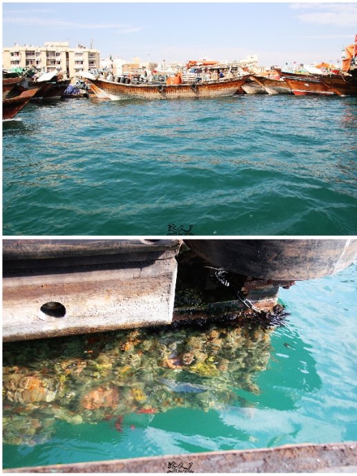 乘着地铁去迪士尼,乘着地铁去兜风