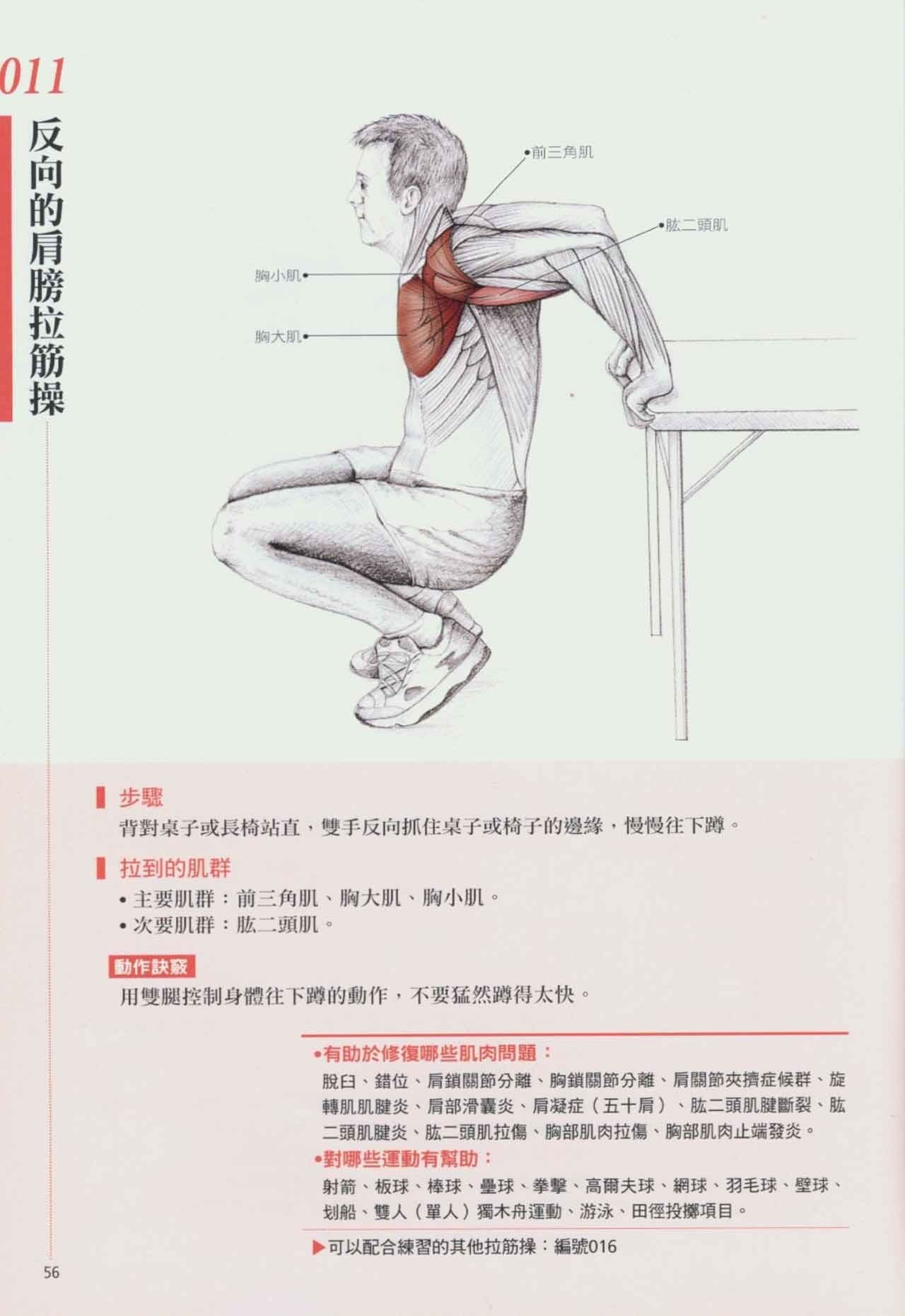 拉筋养生书,拉筋拍打书籍大全