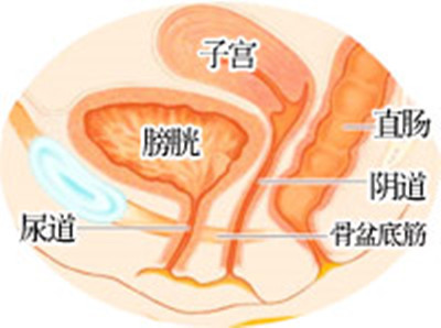 孕期尿频不一定正常，也有可能是病了！