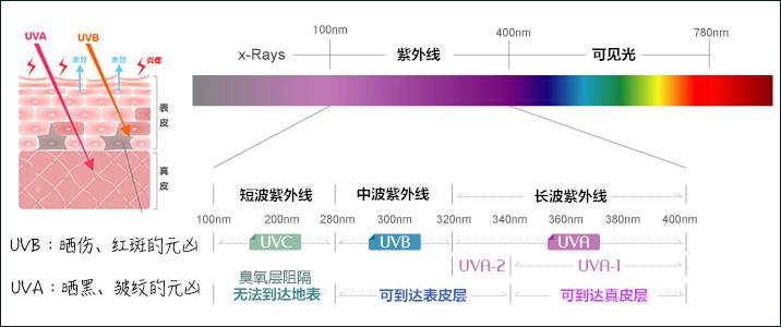 关于防晒的基本知识,关于防晒的小知识和方法