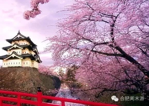 合肥玩的攻略,合肥游玩攻略刺激项目