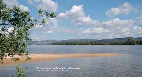 原生魟鱼,魟鱼原生态生活