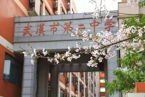 武汉高中一本率排名一览表,武汉41所高中一本率排名