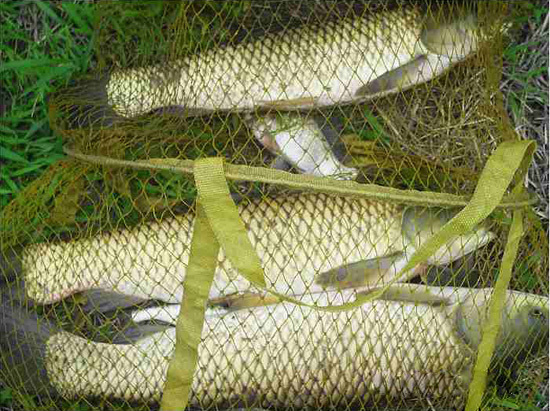 路亚浮球钓草鱼线组绑法,草鱼用什么鱼饵钓法视频