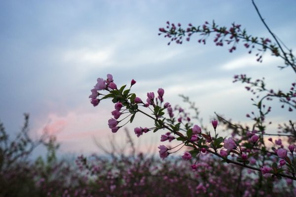 太湖舒畅之旅：乐享田园生活
