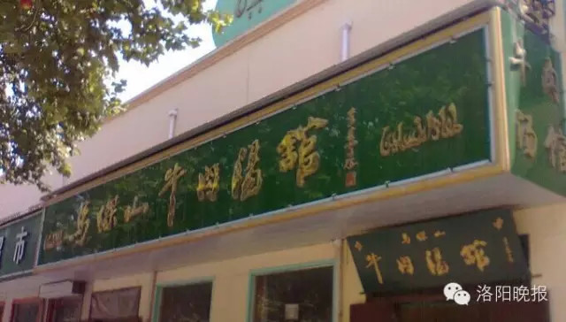 洛阳旅游攻略景点必去,洛阳白云山自驾游攻略