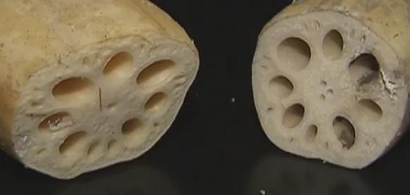 买的莲藕有一股刺鼻怪怪的味道,莲藕一碰就碎闻着一股酸味