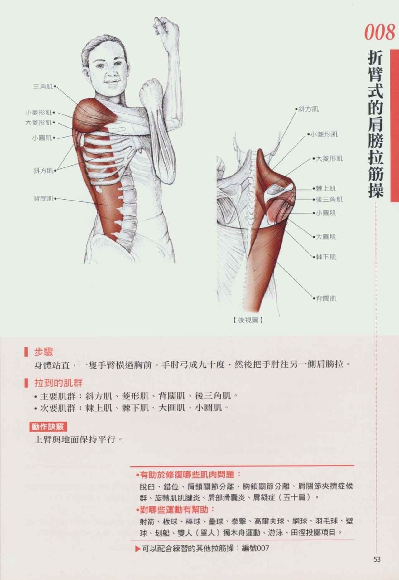 拉筋养生书,拉筋拍打书籍大全