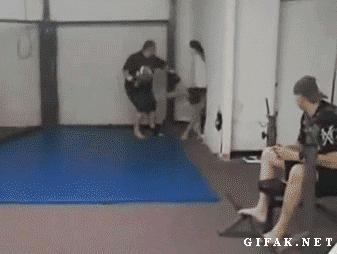 爆逗糗段，哎，那个菇娘，你踩我们的电磁炉干什么？