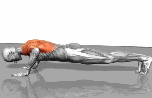 减肥不减胸的三个简单招数,减肥不减胸的方法