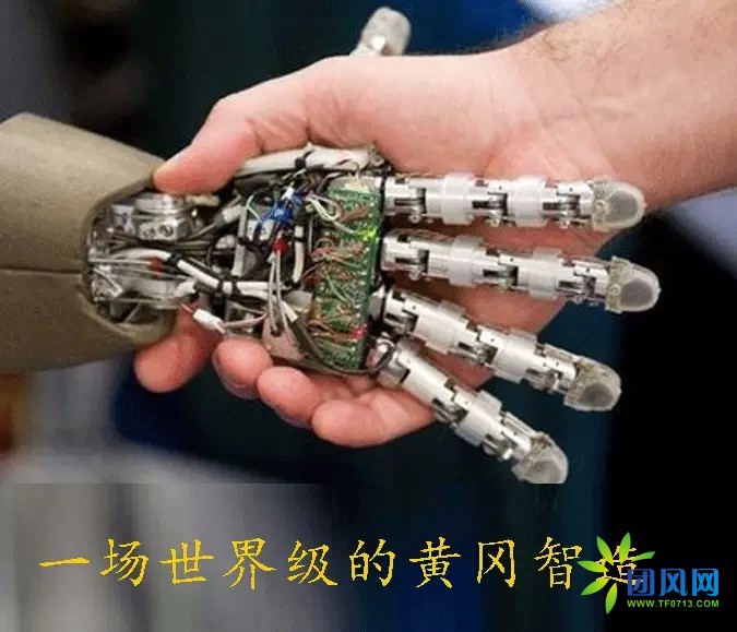 黄冈智能制造,黄冈智造高考高分