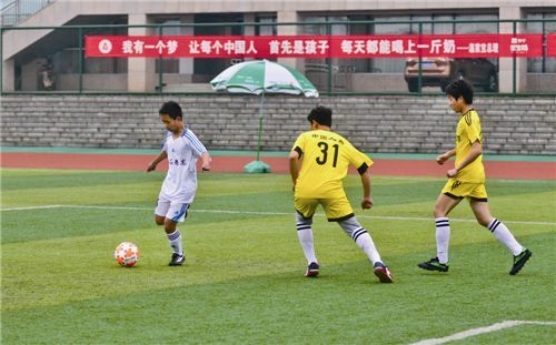 2023年市长杯足球比赛小学,2021市长杯校园足球赛