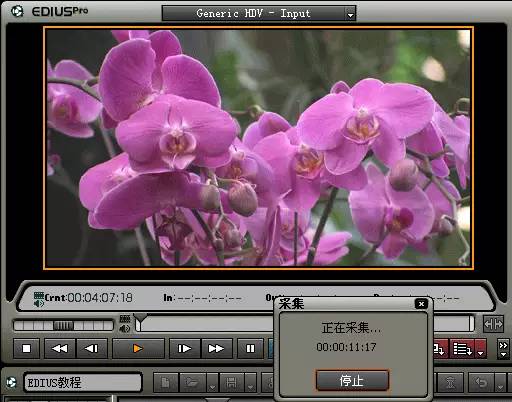 康能普视软件,康能普视多媒体视频