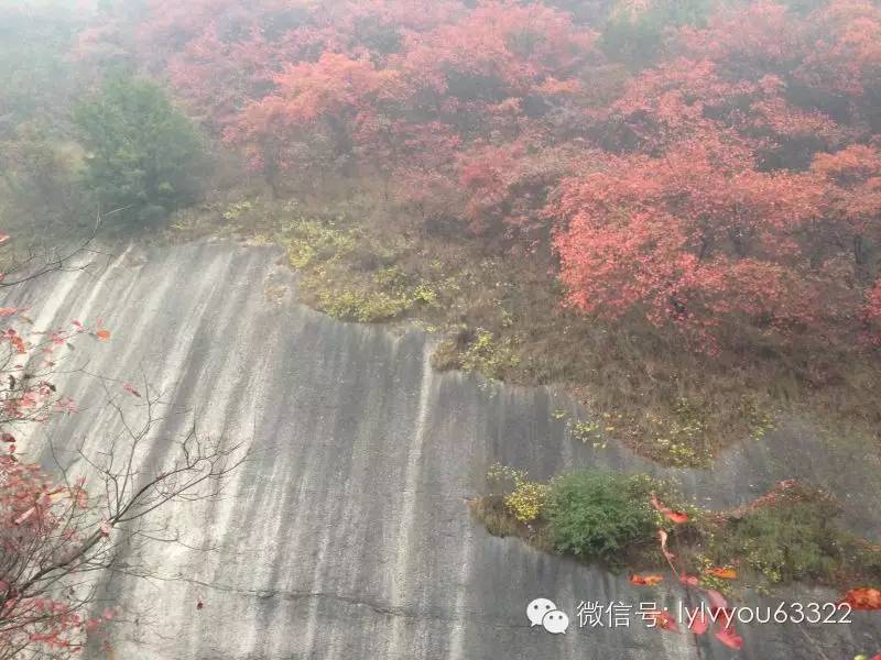 洛阳适合中学生好玩免费景点,洛阳各个景点的介绍