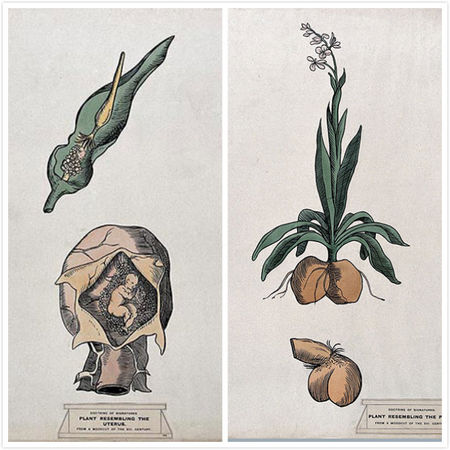 西方国家古代没有中药怎么治病,古代人生病都吃什么药