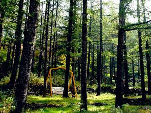 洛阳适合中学生好玩免费景点,洛阳各个景点的介绍