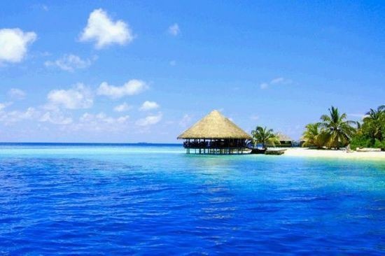 印尼燕窝的价格多少一斤,正宗印尼燕窝哪里买