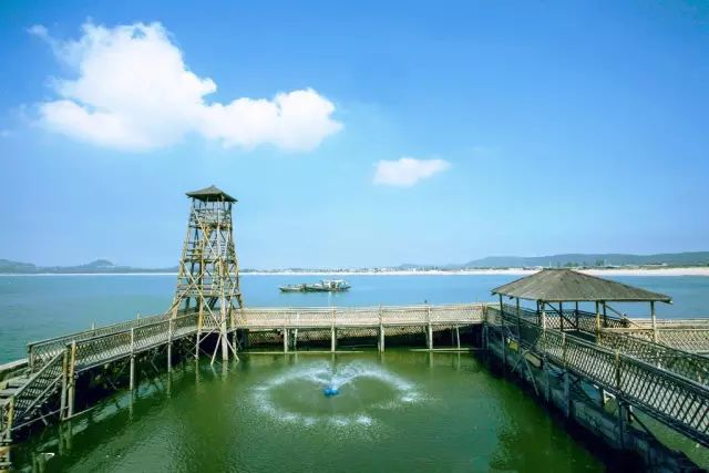 漳州大火山岛,福建漳州有几个火山岛