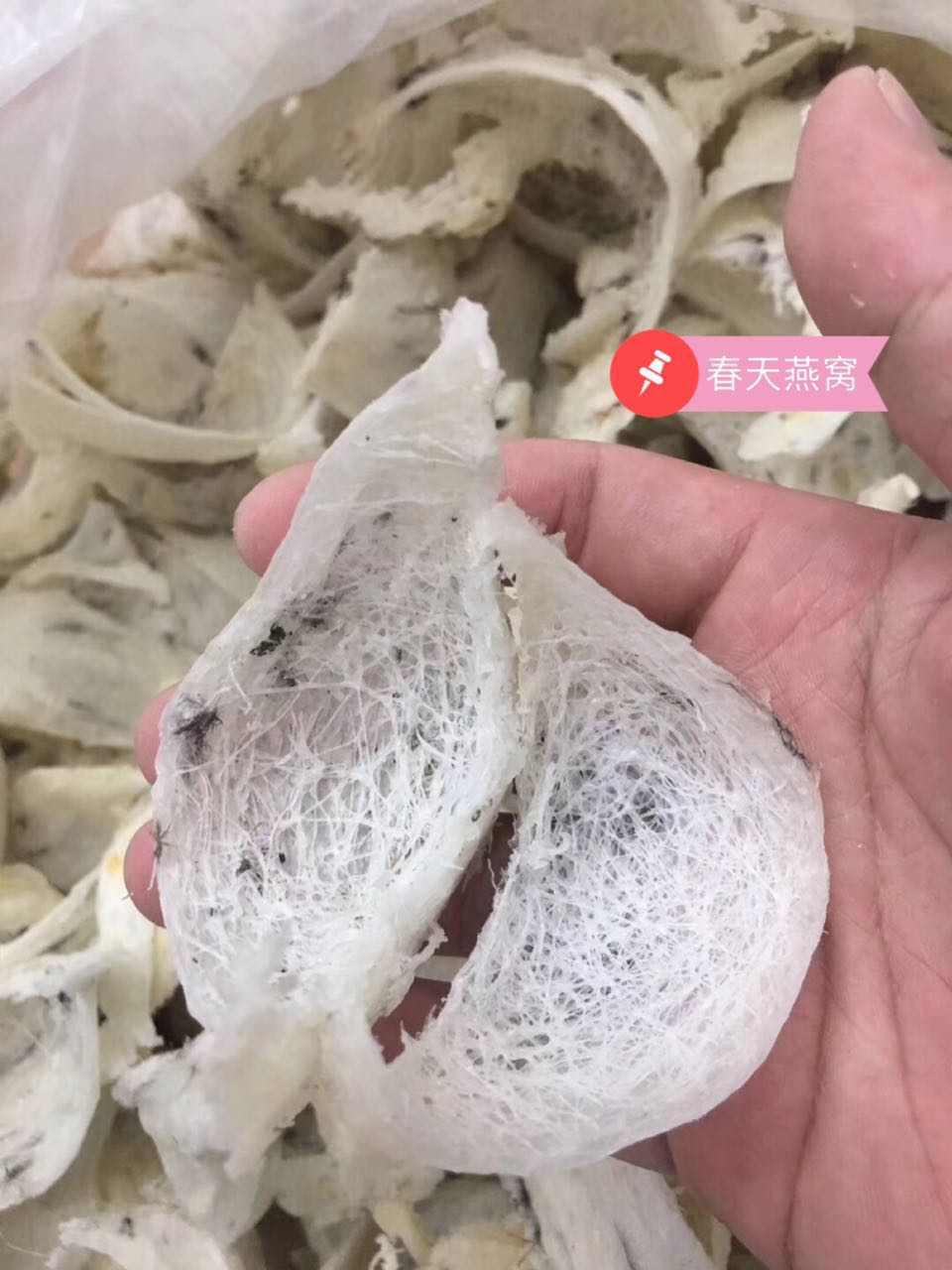 怀孕了要不要吃叶酸,怀孕了要吃燕窝桃胶吗