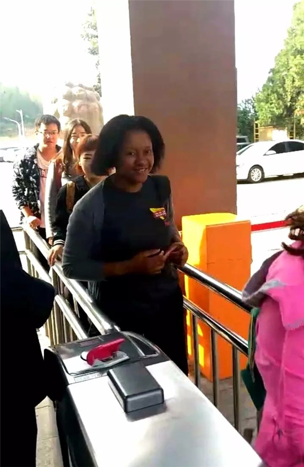 十一黄金周回顾视频,十一黄金周全集视频