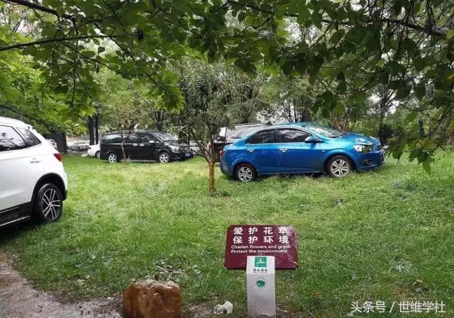 全民八天长假，正在毁掉我们的生活