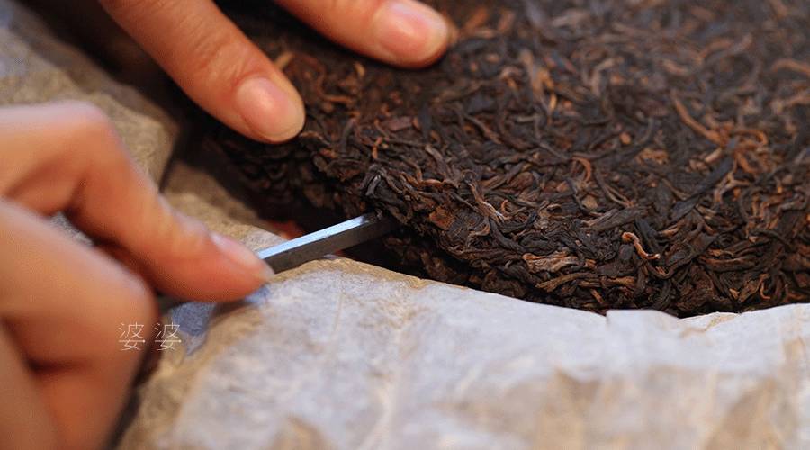 如何撬开一饼普洱茶，手把手教程