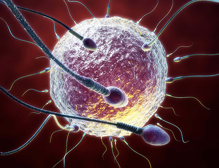 面对不孕不育，该如何正确的看诊治疗？