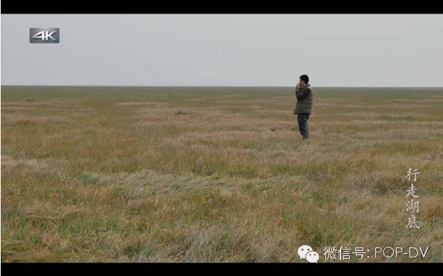 松下最新消息视频,松下最近新闻