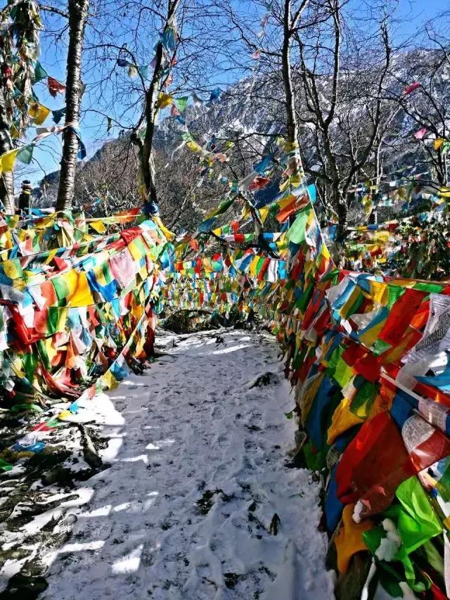 相识于此,相识于此分别于此