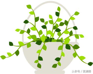 凯格尔训练方法,凯格尔训练系统