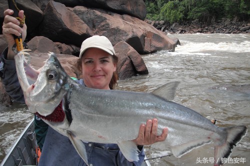 世界最致命的鱼,世界上最危险的鱼
