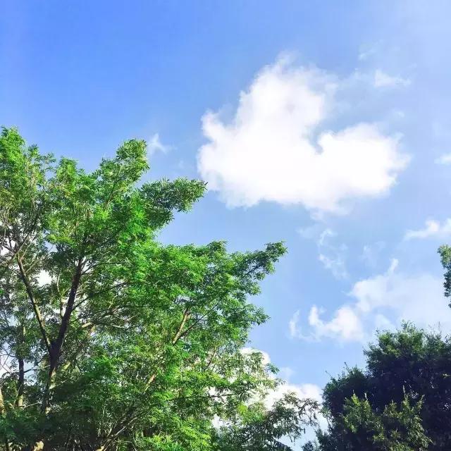 大家好这是我的家乡淮安英文,欢迎来我的家乡上海